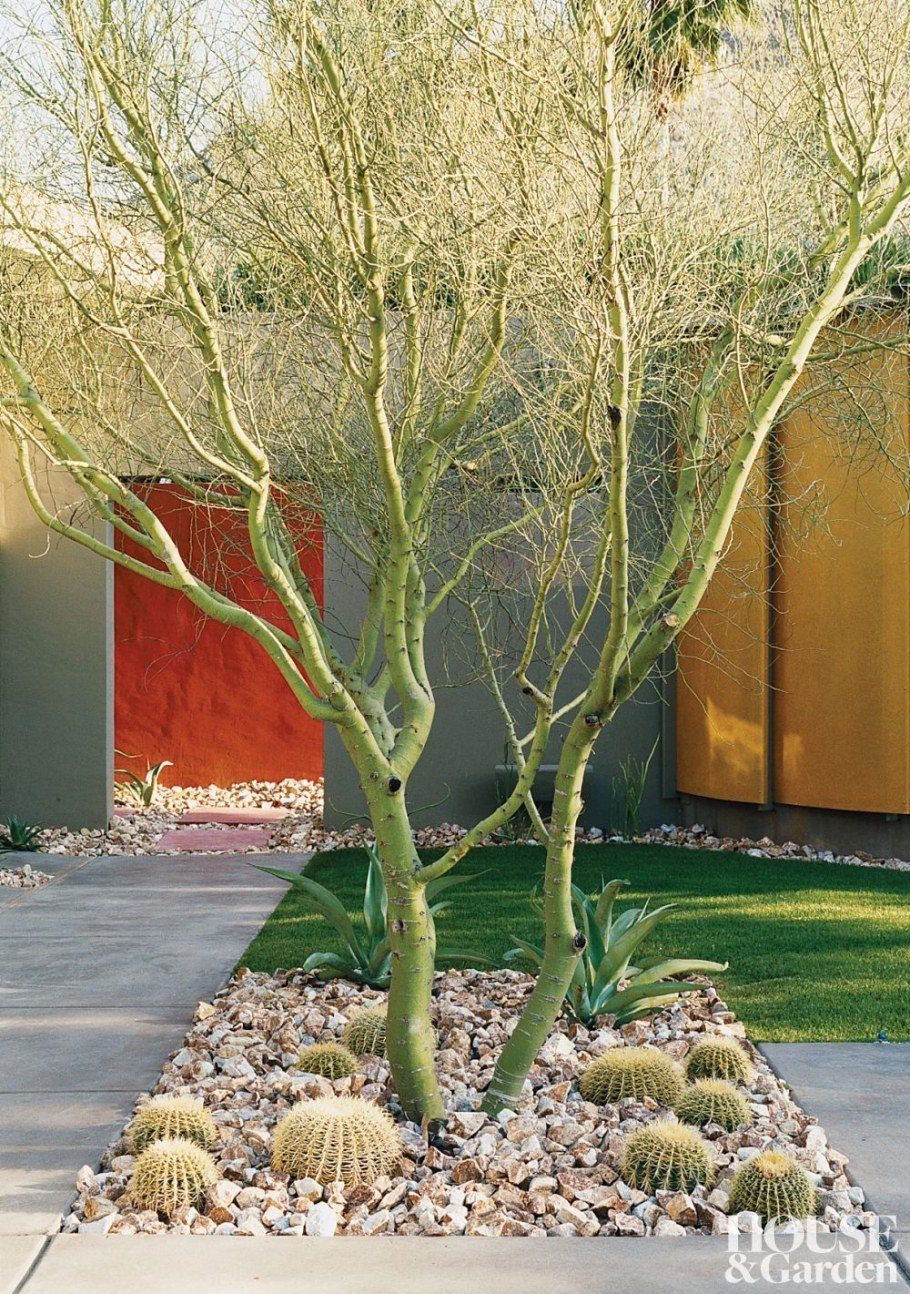 Ива Матсудана в ландшафтном