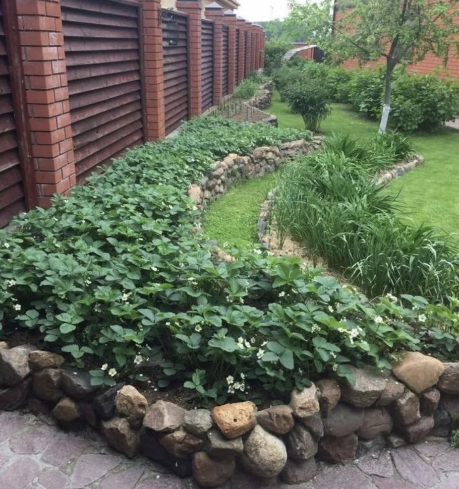 Грядки вдоль забора