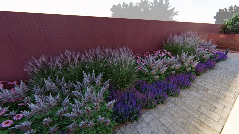 Лаванда рабатка миксбордер