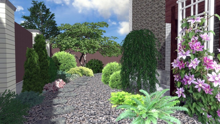 Кусты малины в ландшафте