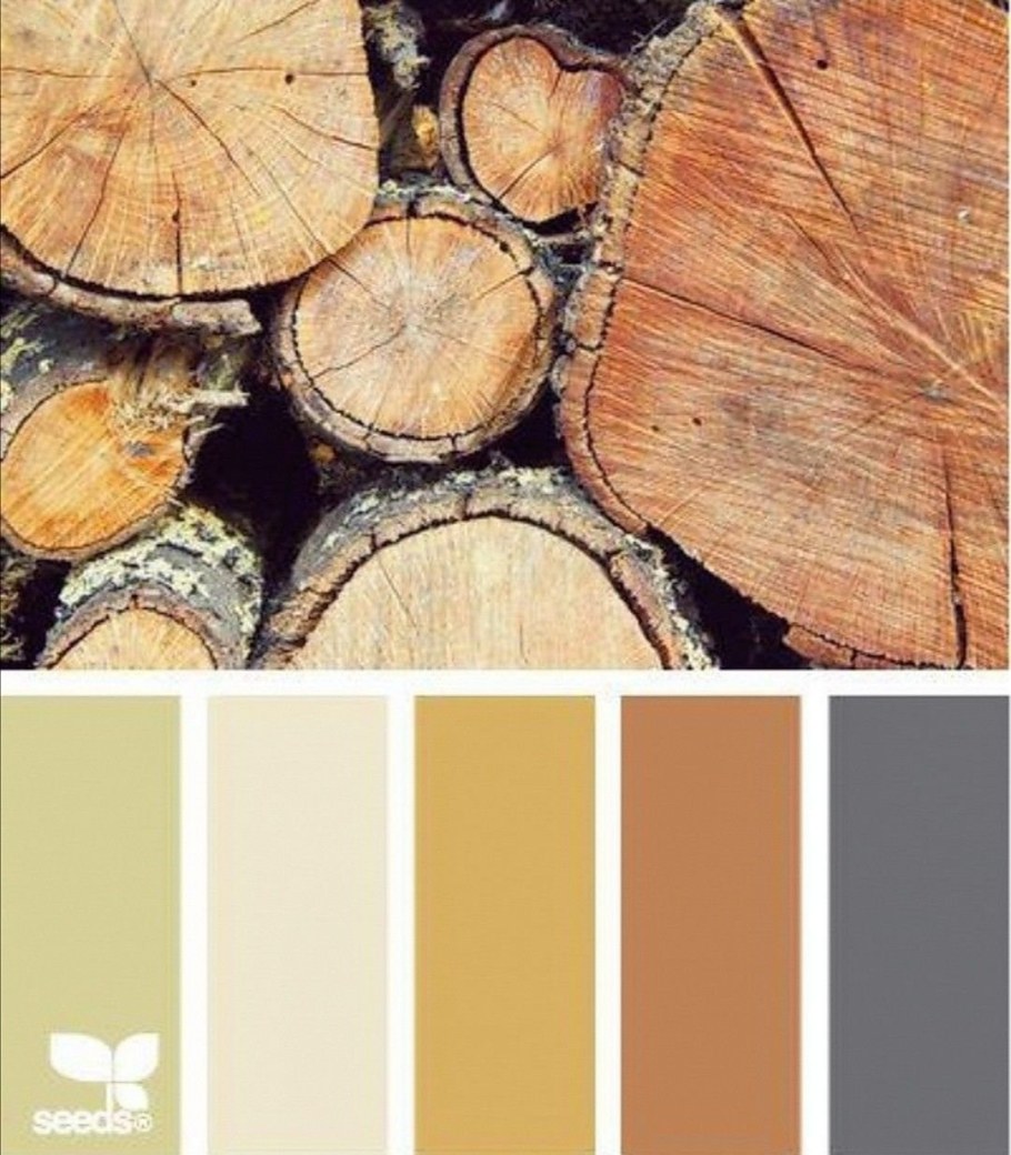 Цвета сочетающиеся с деревом