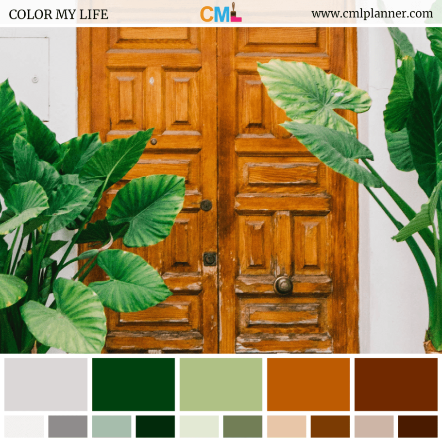 Сочетание цветов с деревом