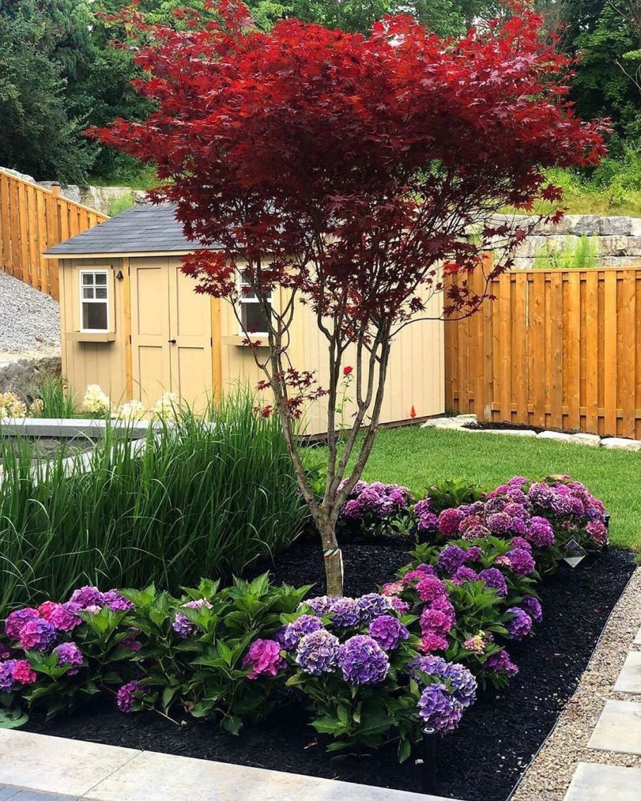 Клумба с барбарисом и спиреей и гортензия