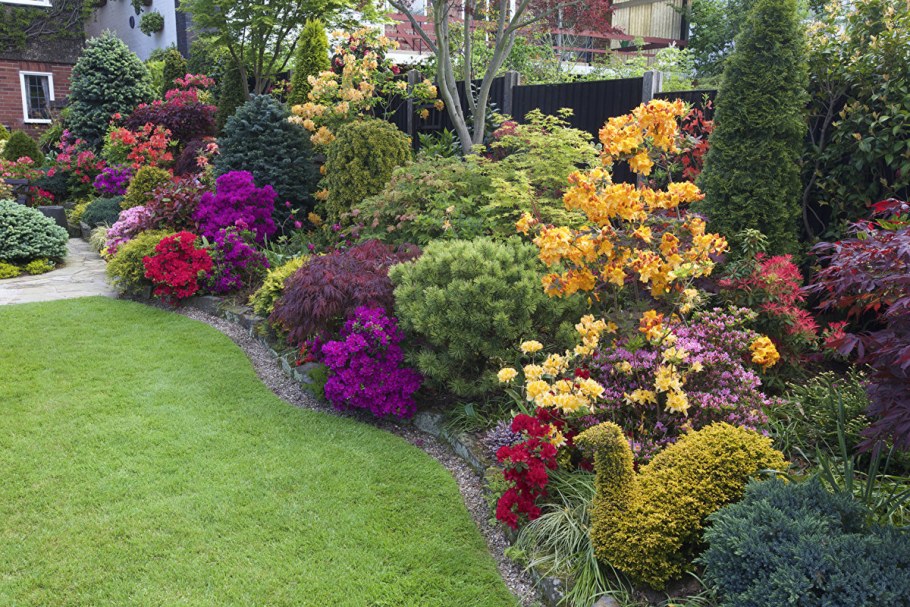 Рододендрон и гортензия