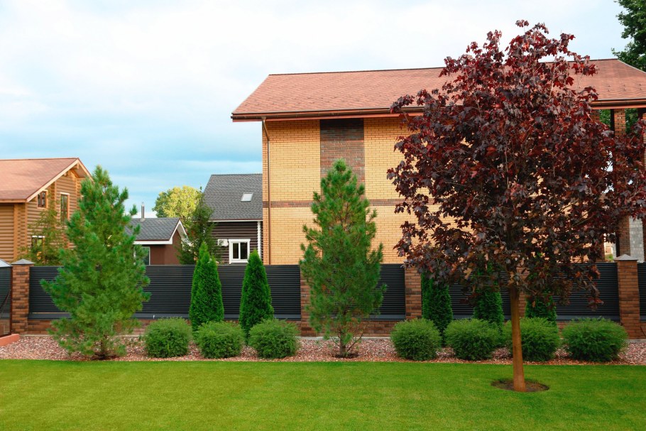 Молодой сад