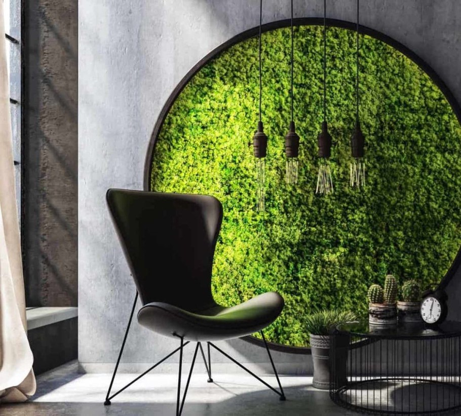 Фитостена из стабилизированного мха