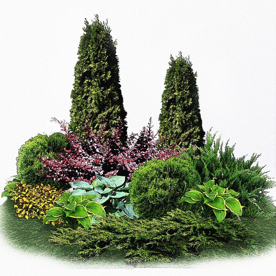 Рокарий с туей Смарагд