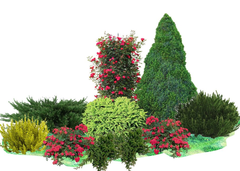 Миксбордер с туей Смарагд