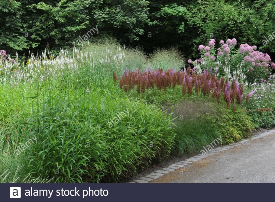 Пит Удольф кровохлебка