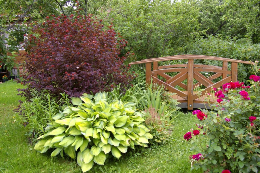 Спирея с барбарисом и гортензией