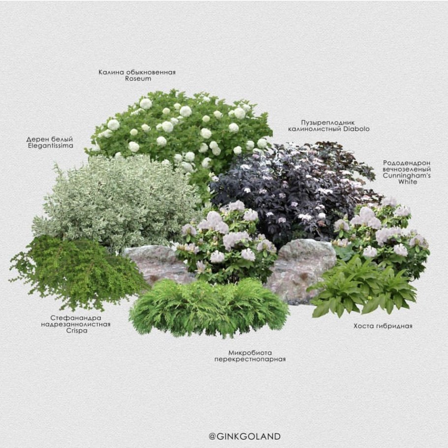 Клумба с гортензией и спиреей