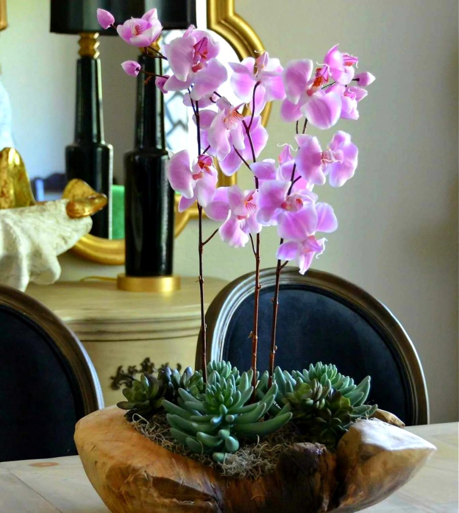Композиции с орхидеей фаленопсис