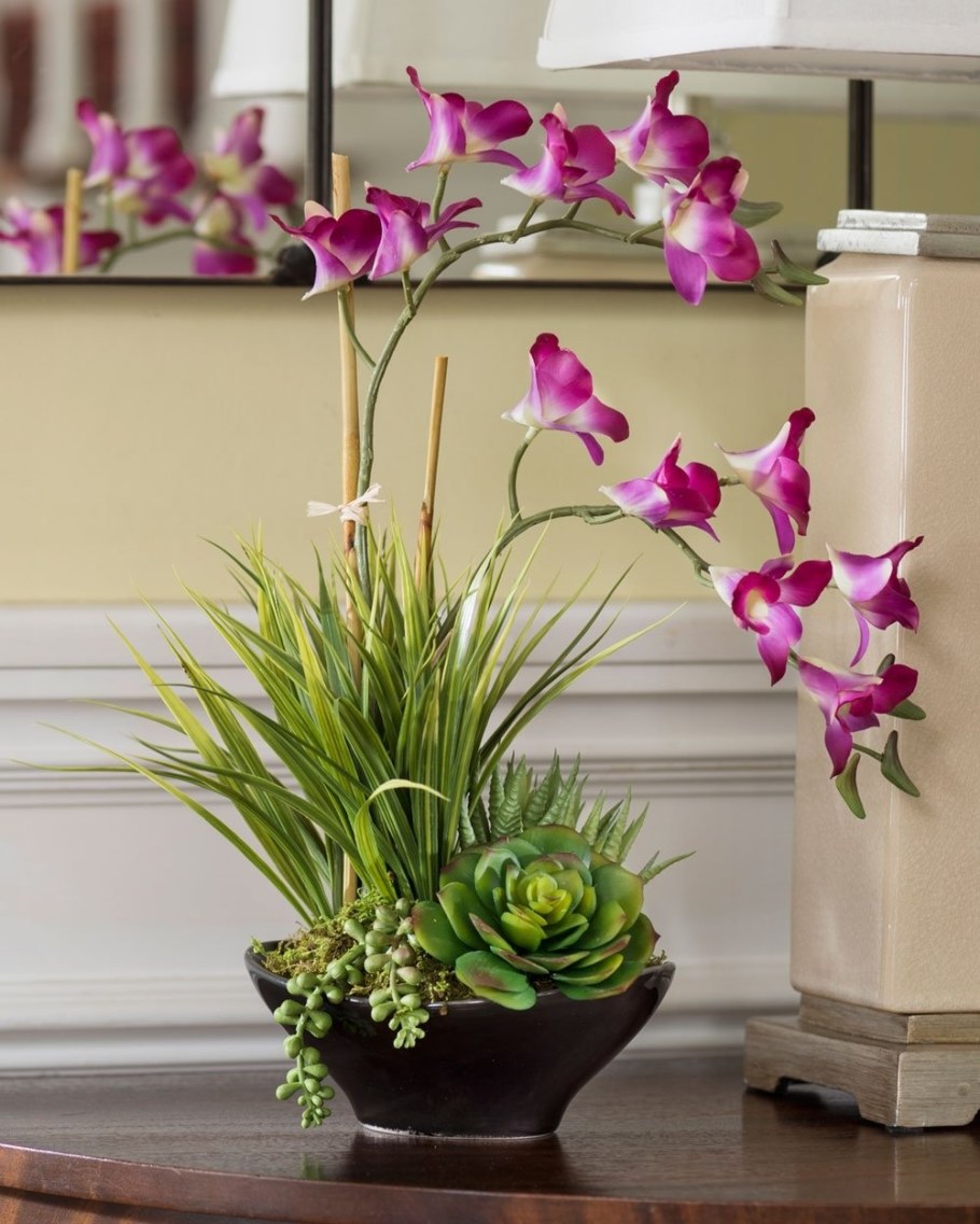 Орхидея Дендробиум