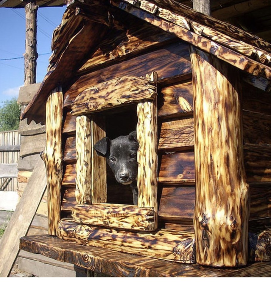 Сарай из необрезной доски