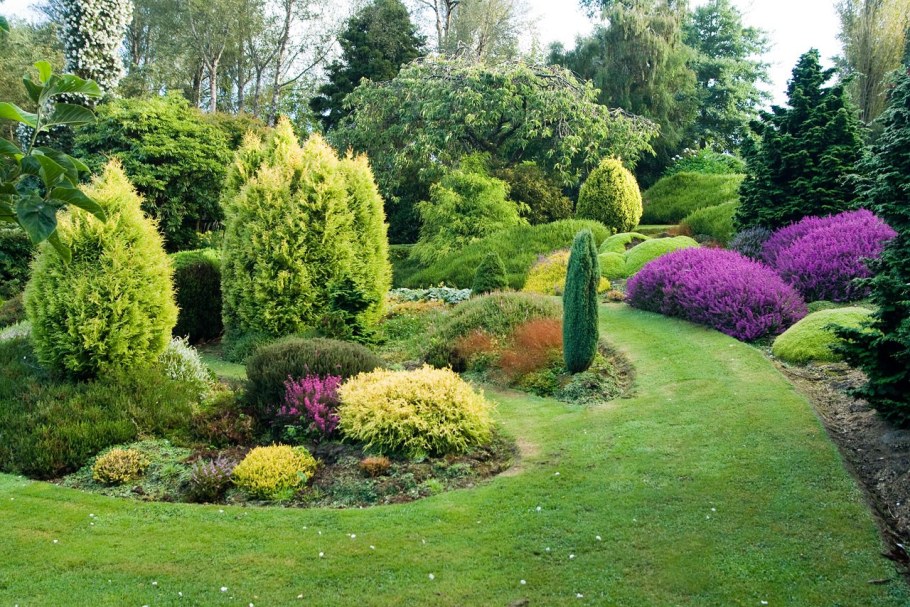 Хвойный сад