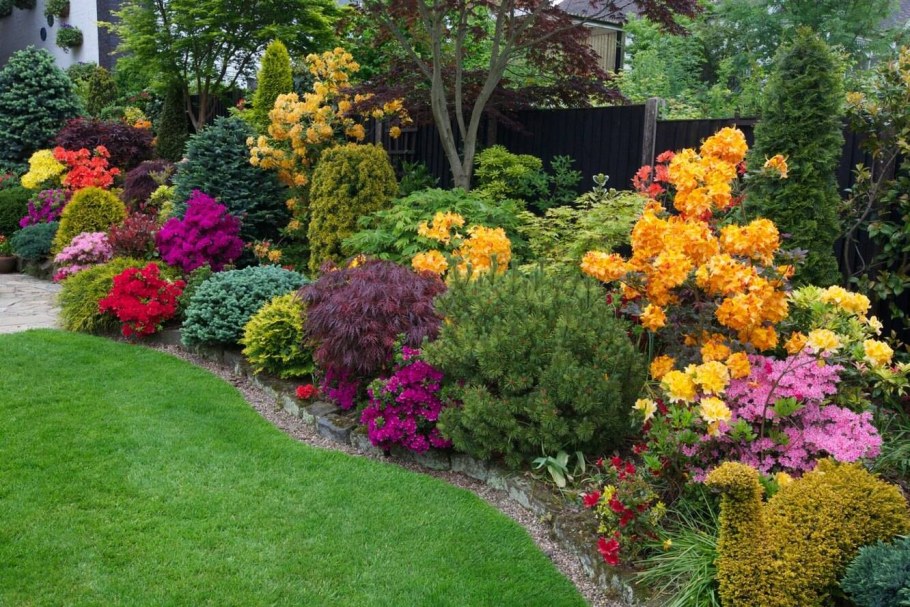 Миксбордер с кустарниками