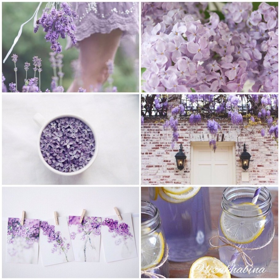 Лавандовый цвет