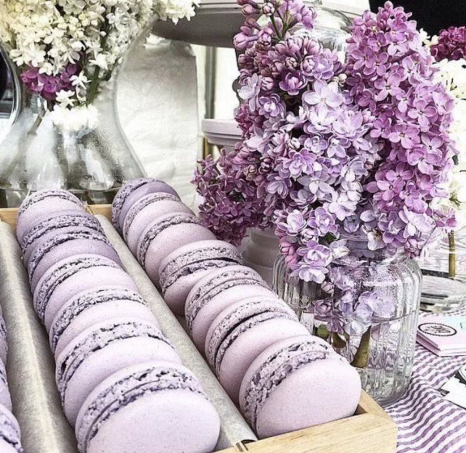 Лавандовая Эстетика