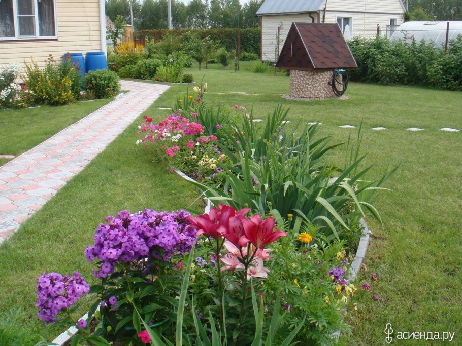 Клумба лилейники, Флоксы, ирисы, пионы, лилии