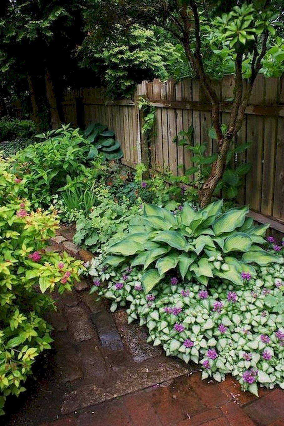 Теневой миксбордер