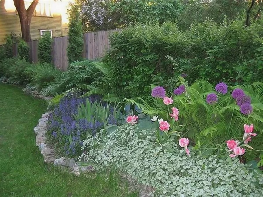 Живучка ползучая и Хоста