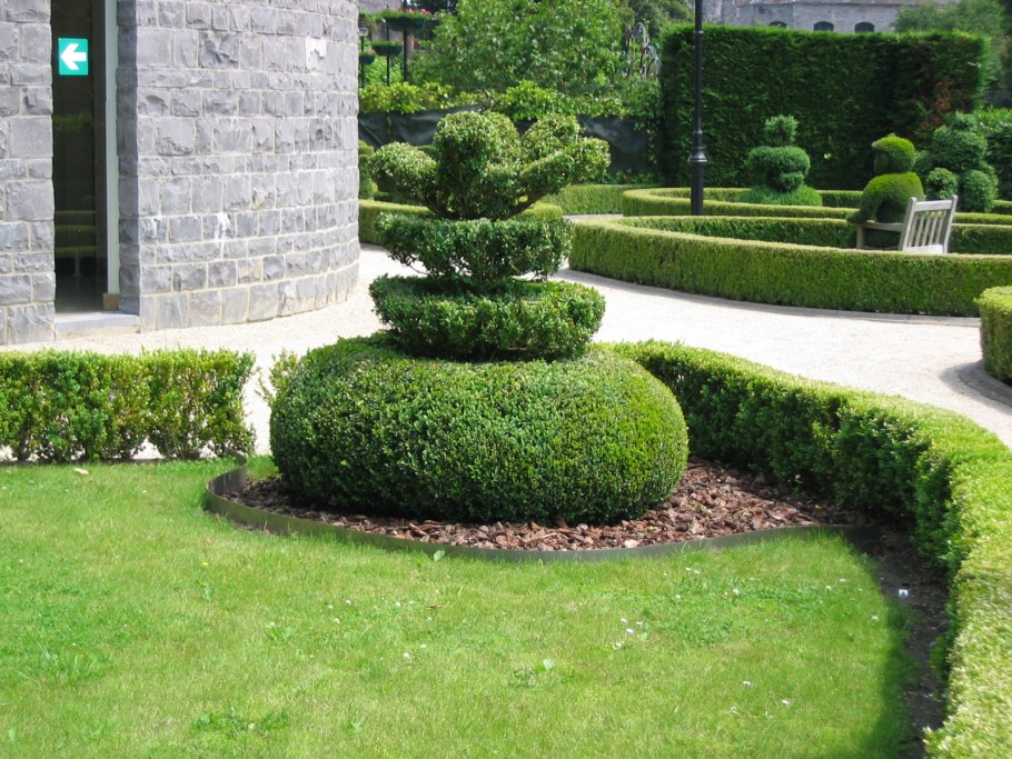 Топиарная стрижка самшита