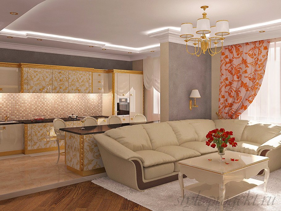 Зал и кухня вместе