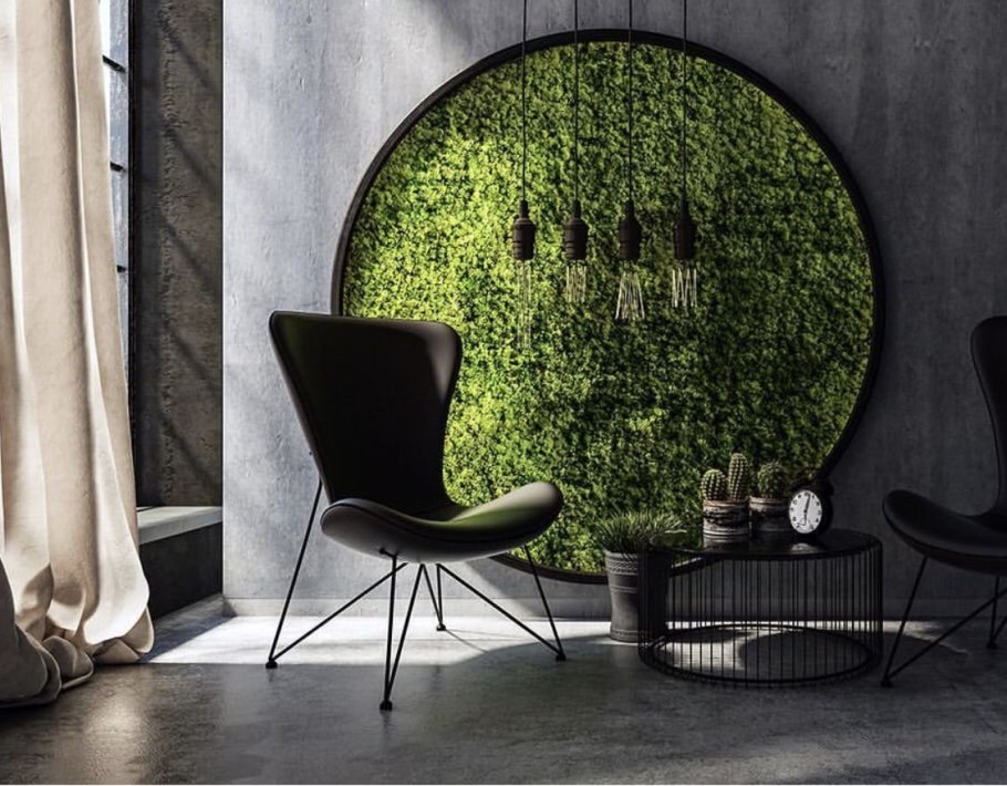 Мосс фитостены