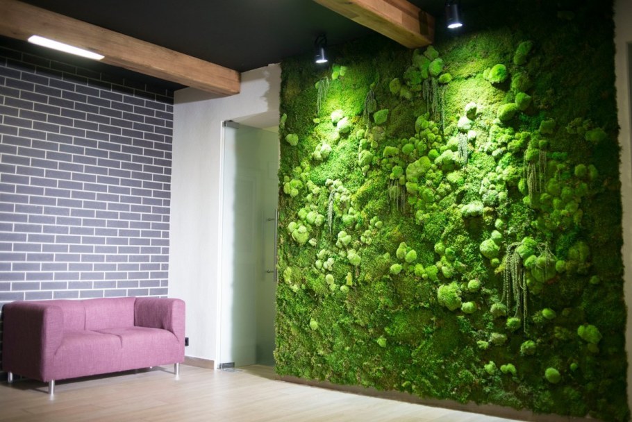 Фитостена из стабилизированного мха и растений