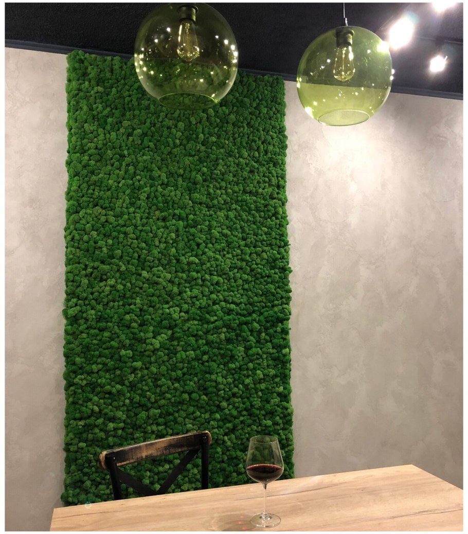 Фитостена ягель