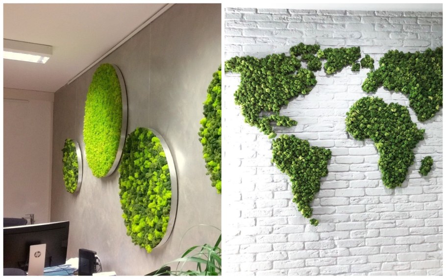 Фитостена из стабилизированного мха