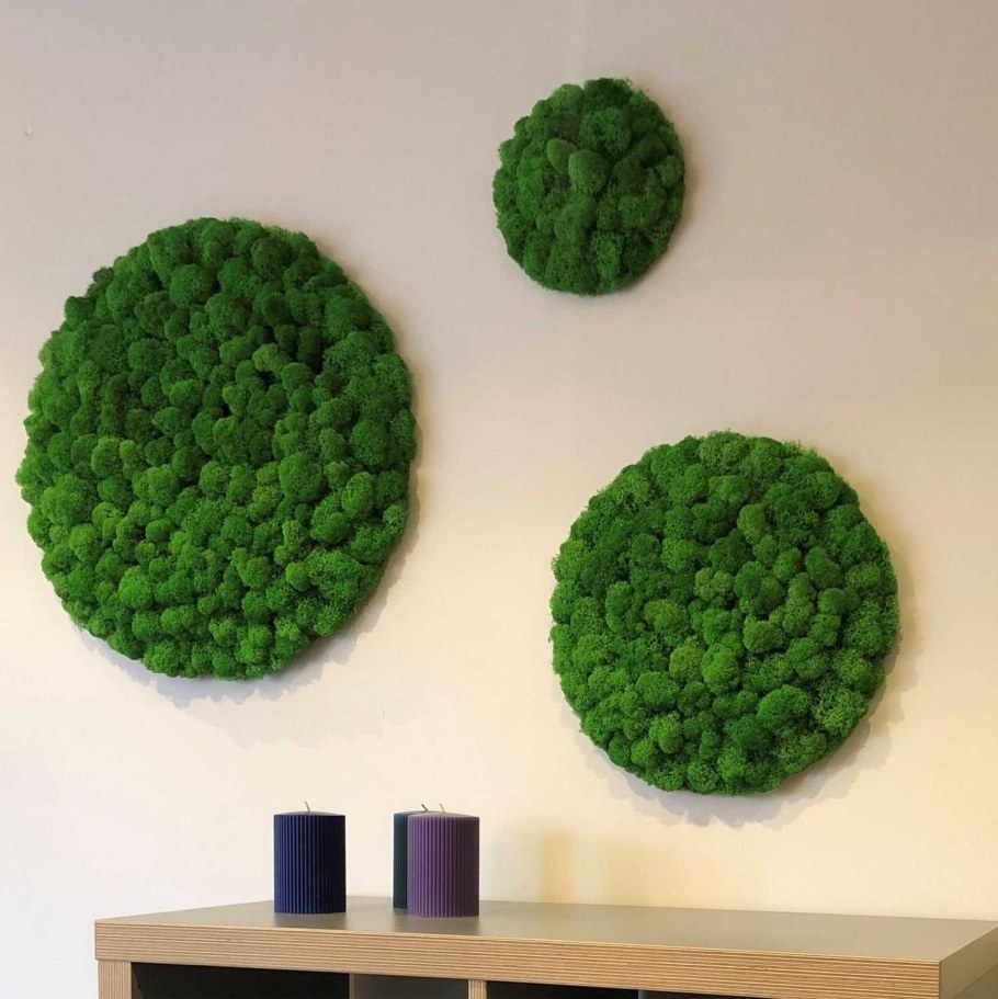 Мох Леруа Мерлен