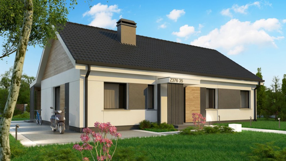 Z376 35 проект