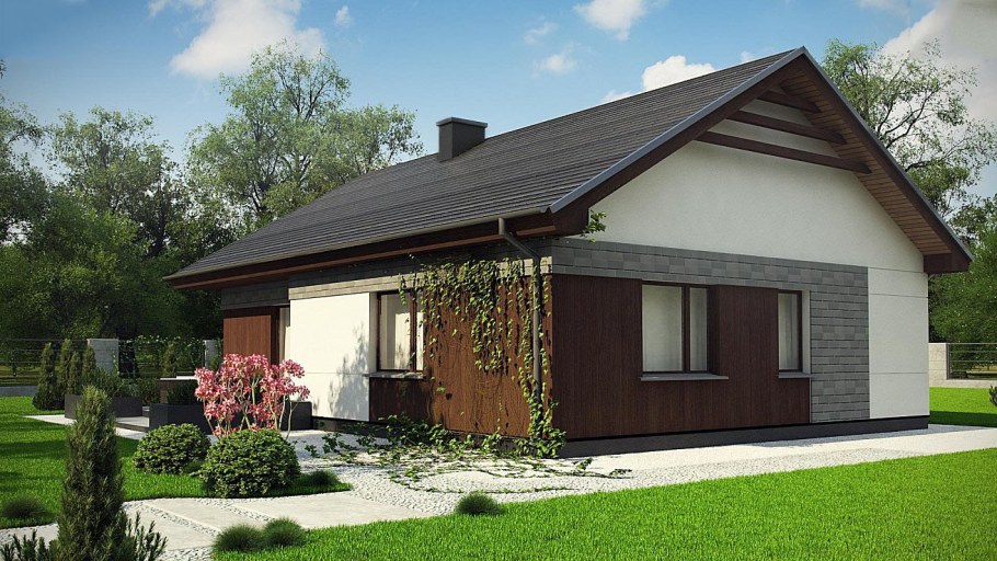 Одноэтажные дома с двускатной крышей