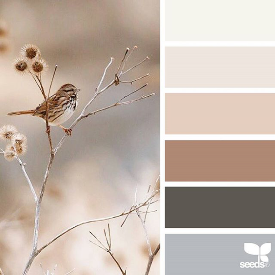 Колор Романюк палитра