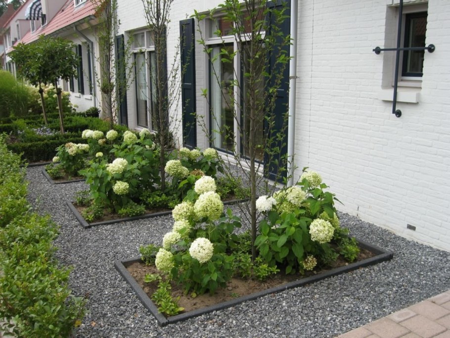 Гортензия,Хоста, туя Даника