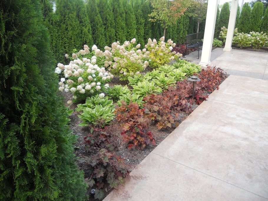 Миксбордер можжевельник спирея Хоста