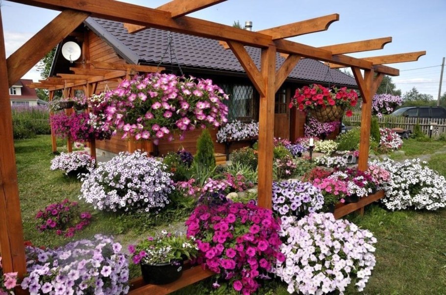 Петуния на даче каскадная