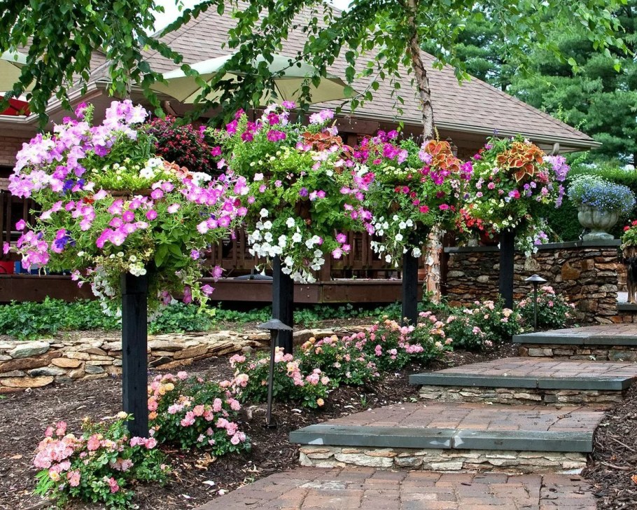 Роза штамбовая Гарден