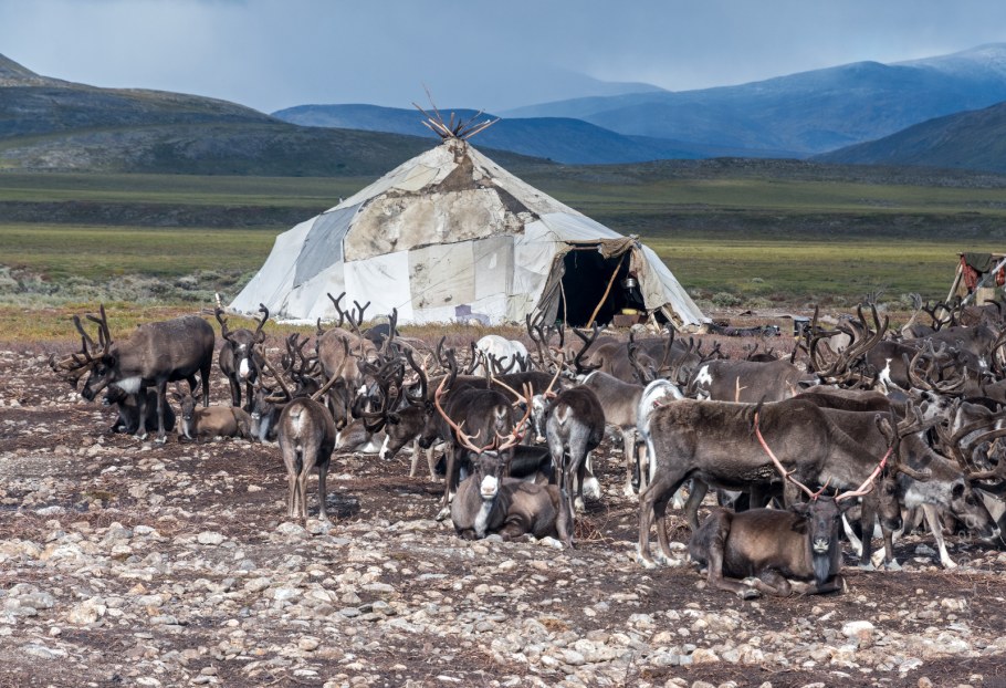 Жилище народов Чукотки яранга