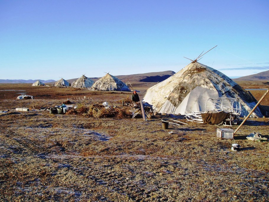 Чукчи жилище яранга