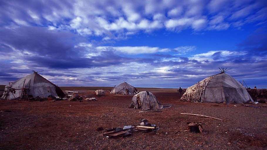 Чукчи жилище яранга