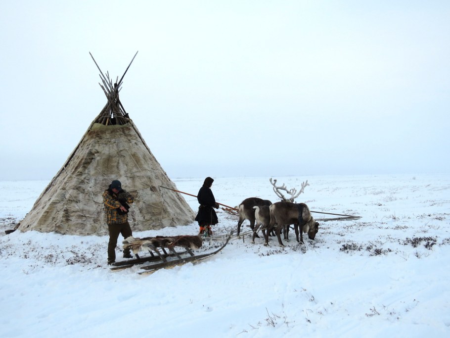 Ямал оленеводы чум