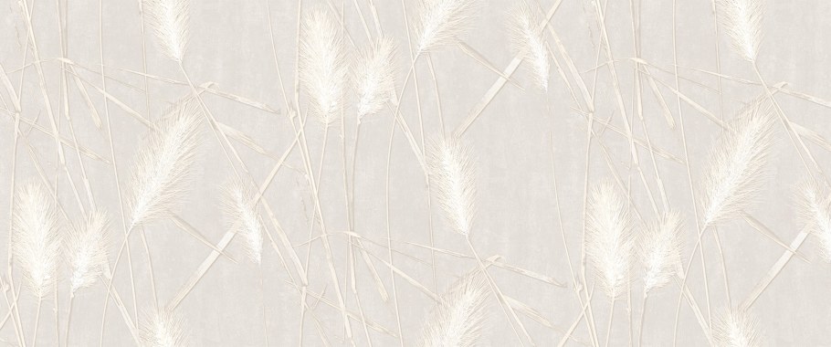 Обои Sensei 281738