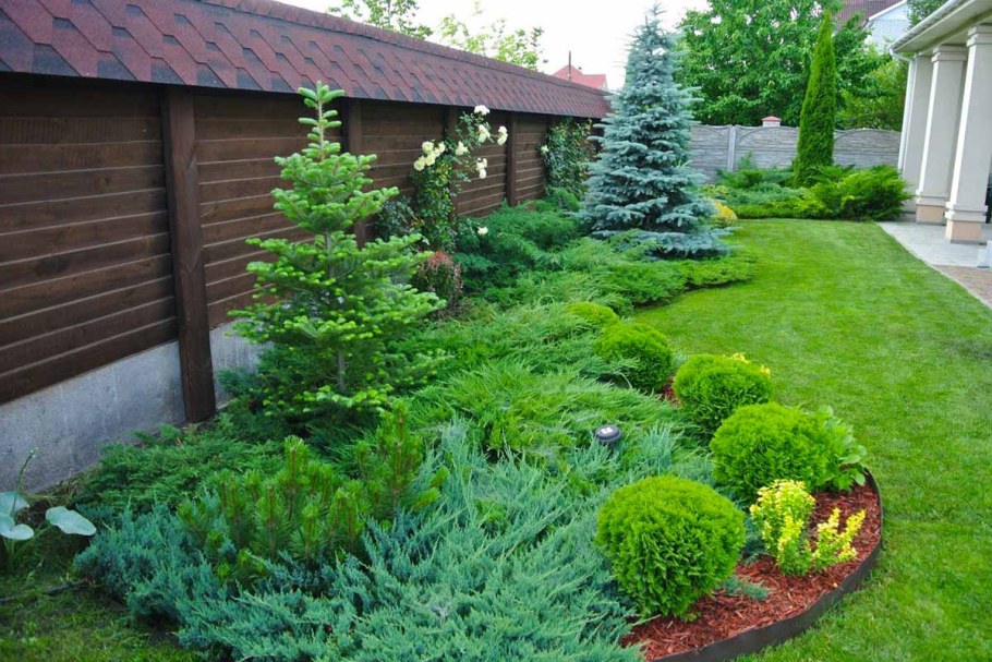 Туя в рокарии