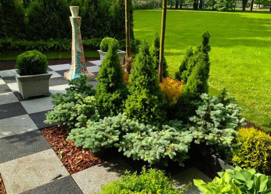 Смарагд Даника можжевельник