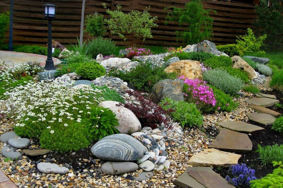 Колокольчик Биберштейна рокарий