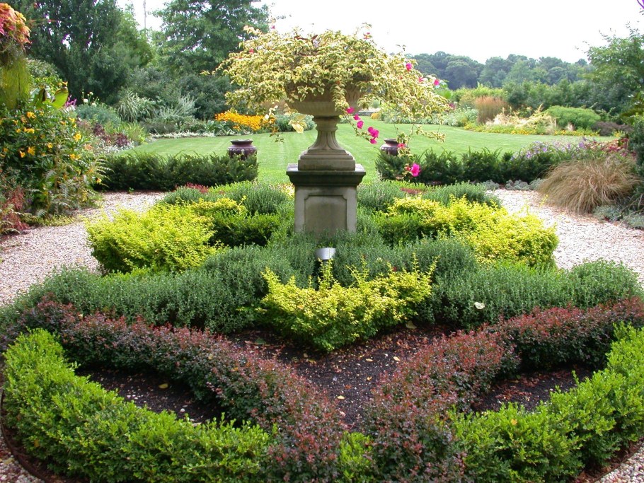 Клумба с барбарисом Тунберга