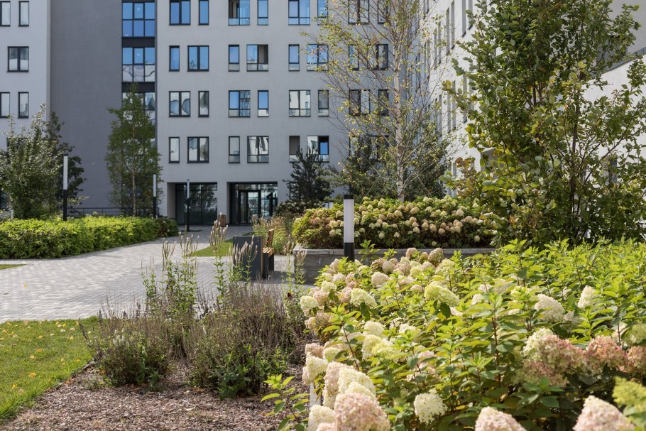 ЖК брусника благоустройство