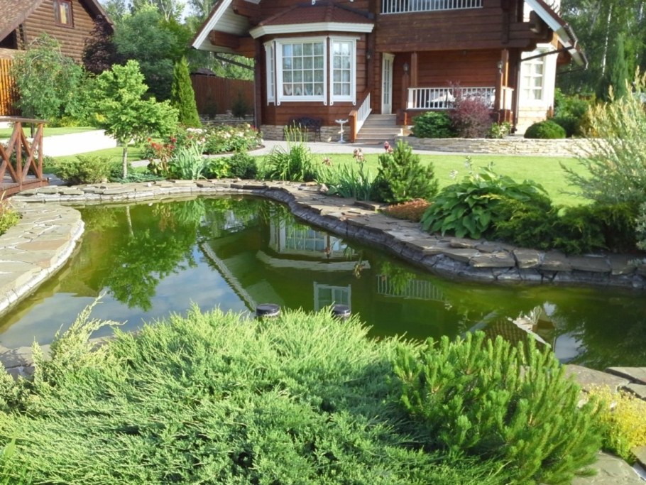 Водоемы в ландшафте